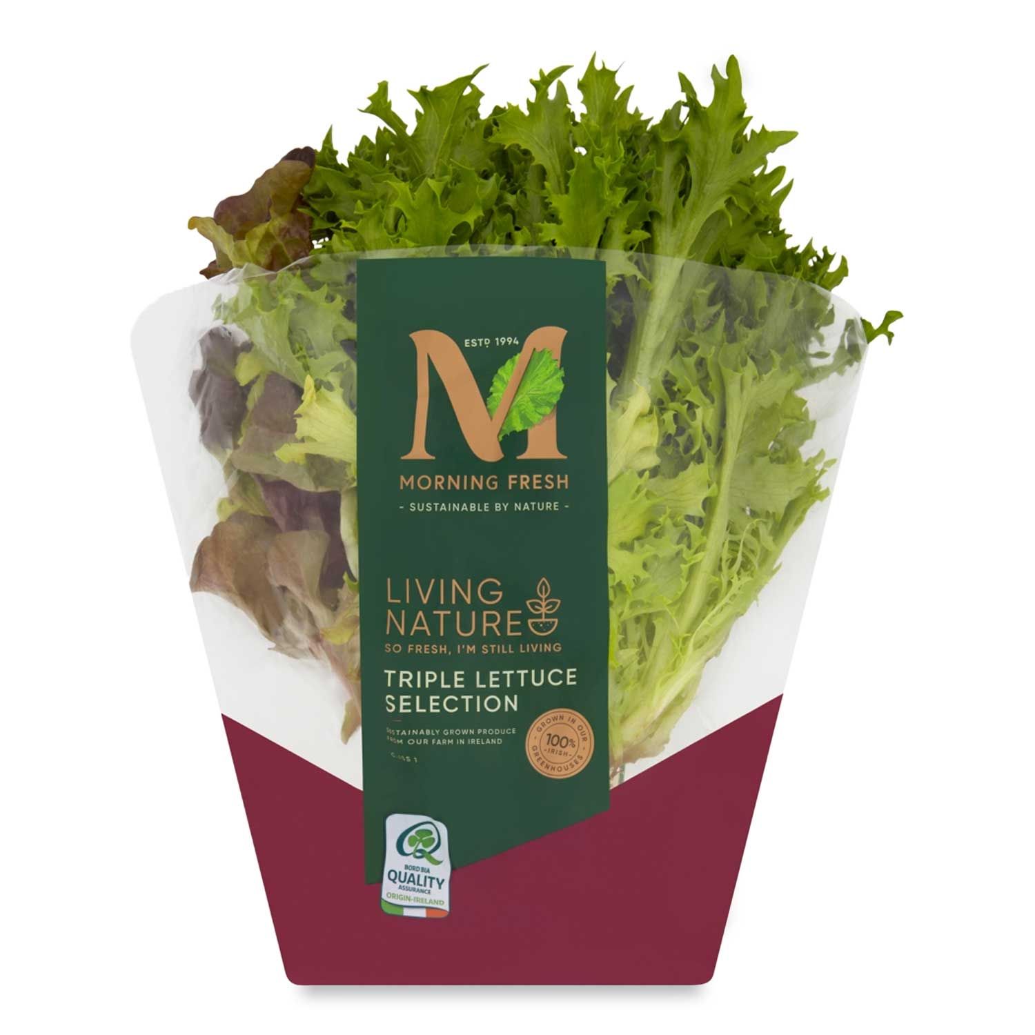 Living Lettuce 300g Morning Fresh